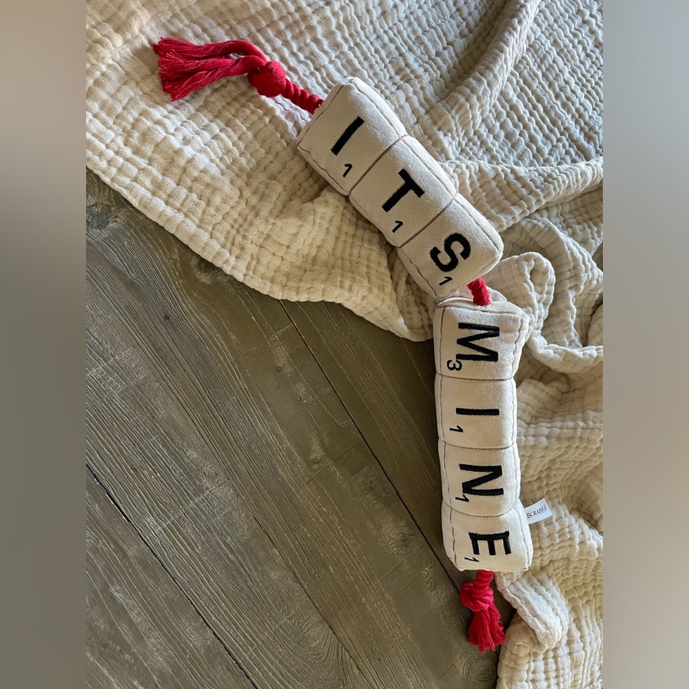 Dog Toy-Hasbro Scrabble Plush Rope Tug Dog Toy-Squeak & Crinkle